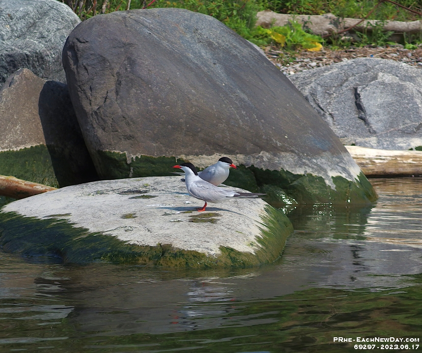 69297CrLe - Beth and I kayak on Lake Ontario